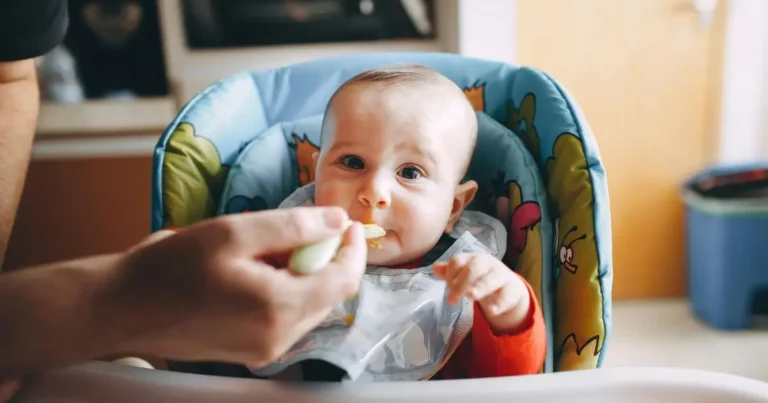 Little Spoon Baby Food Review